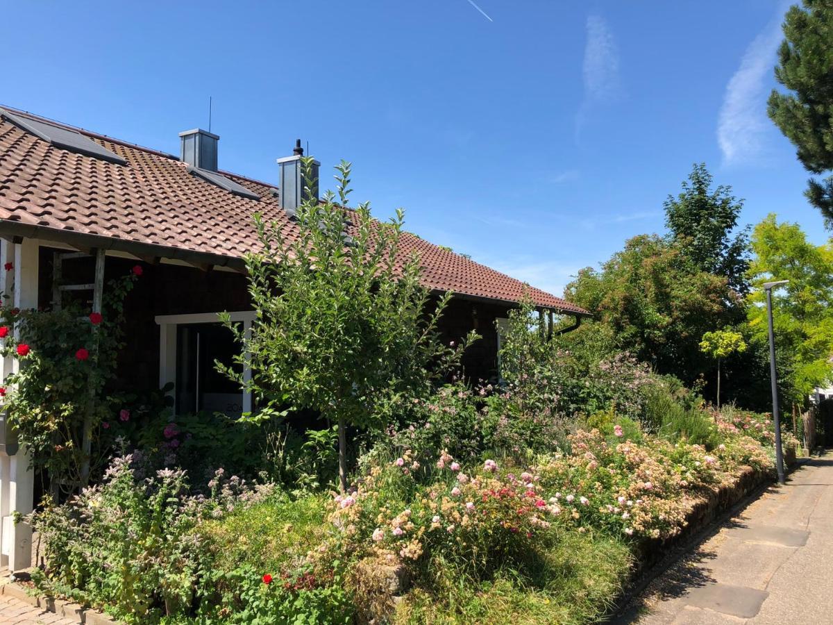 Luther20 Insheim Exterior photo